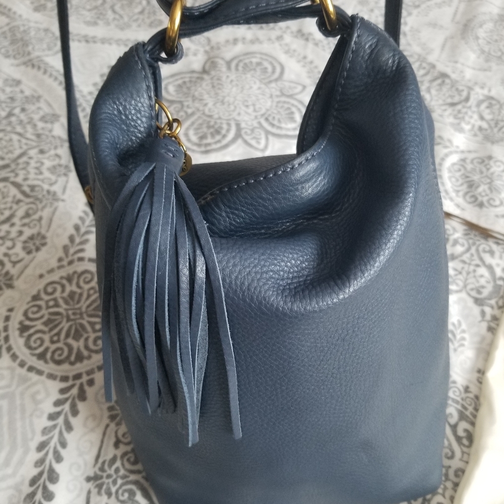 Blaze Hobo purse